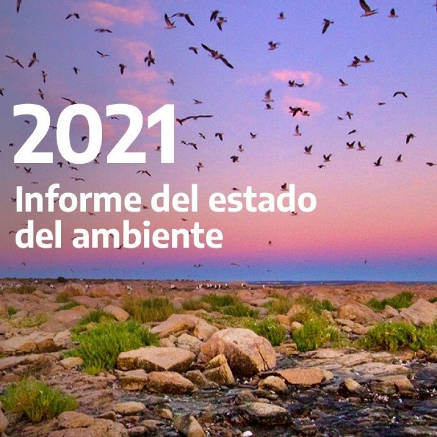 El CICACZ participó del informe  del Estado del Ambiente en Argentina