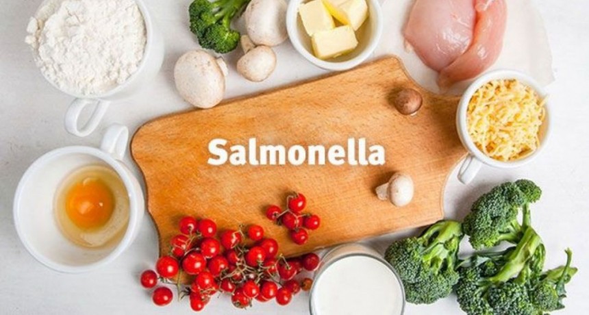 Casos de Salmonella y Shigella: recomendaciones para evitar su propagación