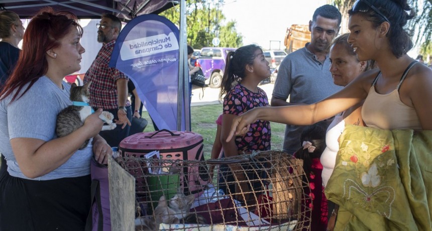 Hoy habrá una nueva Jornada de Adopción Responsable de Mascotas en la Plaza España