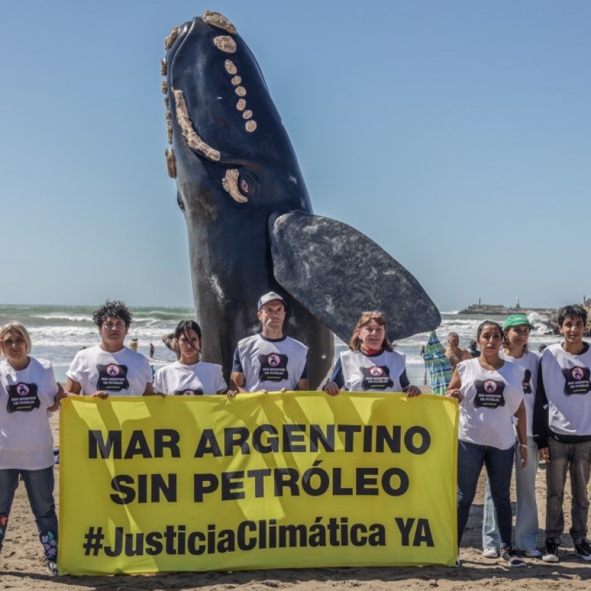 ¿Una ballena gigante en Mar del Plata? La instalación de Greenpeace por la defensa del Mar Argentino