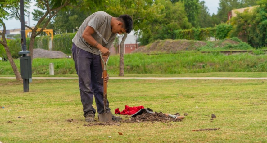 El plan de forestación municipal llegó a la Plaza de Las Carretas