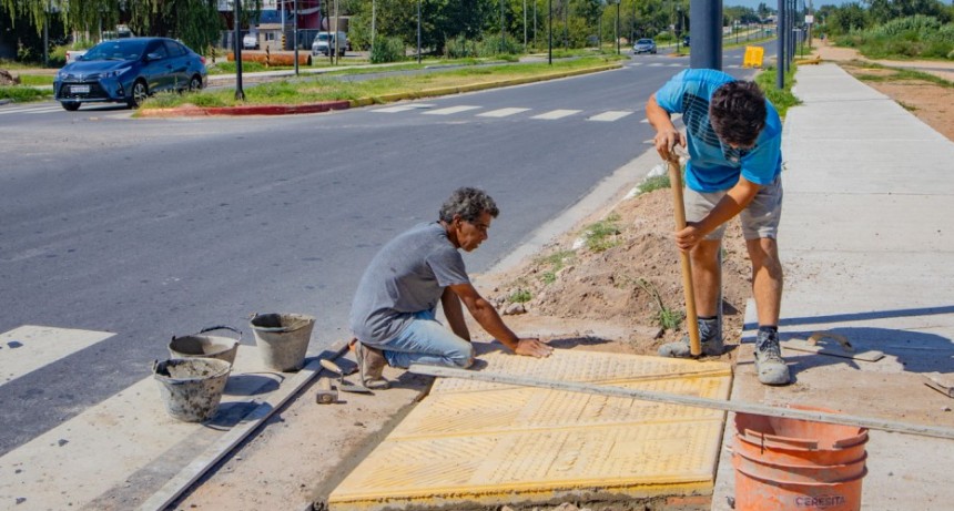 Avenida Alfonsín: ahora el Municipio construye las rampas de acceso a las veredas 