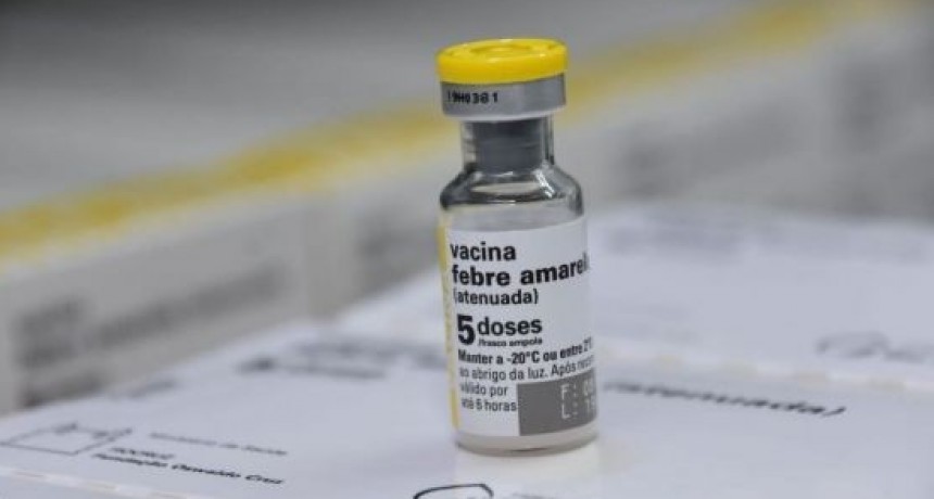 Recomiendan vacunarse contra la fiebre amarilla a vecinos que viajen a Brasil 