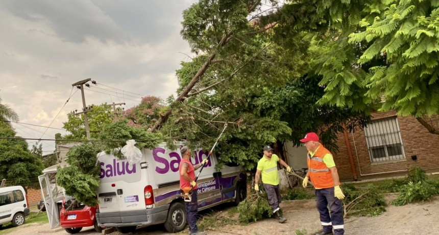 Intensos trabajos de las cuadrillas del Municipio tras los fuertes vientos 