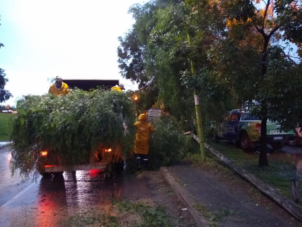 Intenso trabajo del personal municipal tras el temporal 