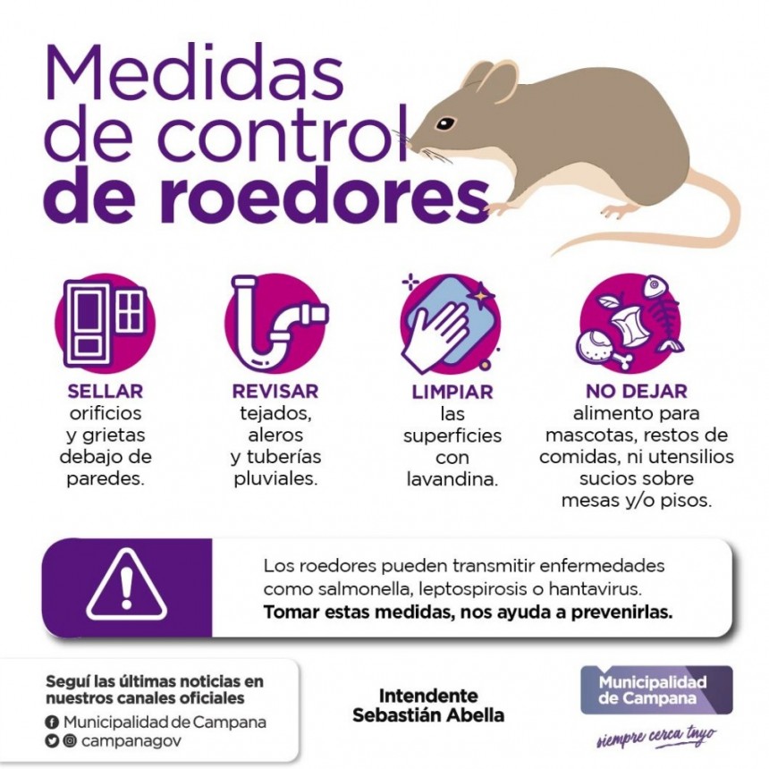 Desde el Municipio brindan recomendaciones para evitar la presencia de roedores 