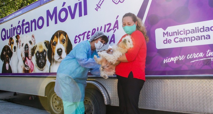 Quirófano móvil: unas 100 mascotas fueron castradas en la primera semana de operativos 