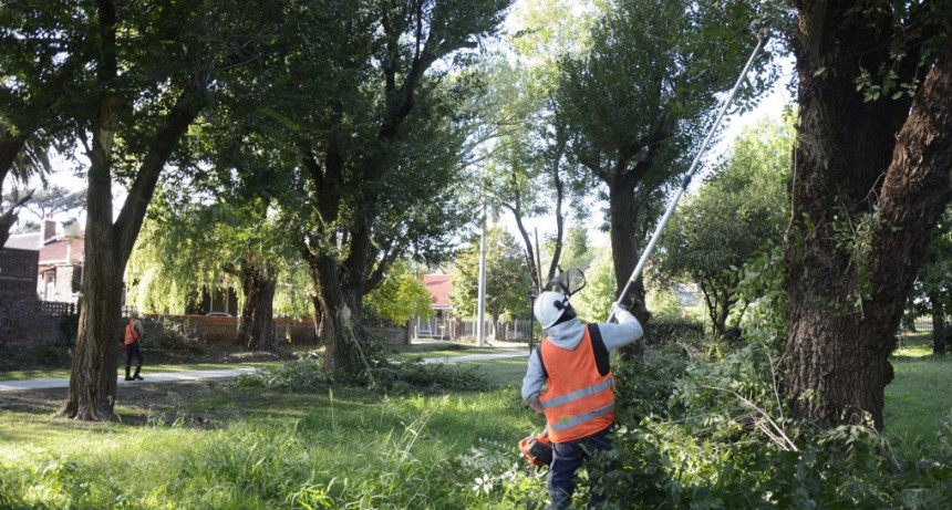 El Municipio sigue poniendo en valor la zona de la Plaza de las Carretas 