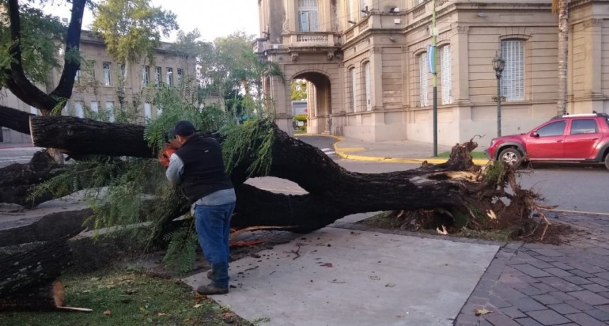 Intensos trabajos de las cuadrillas municipales tras el temporal