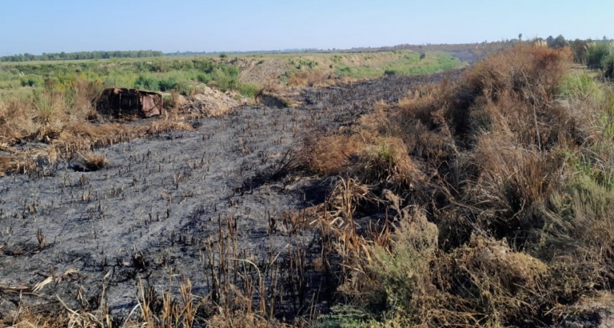 Lograron controlar el incendio desatado en el kilómetro 96 de la ruta 12
