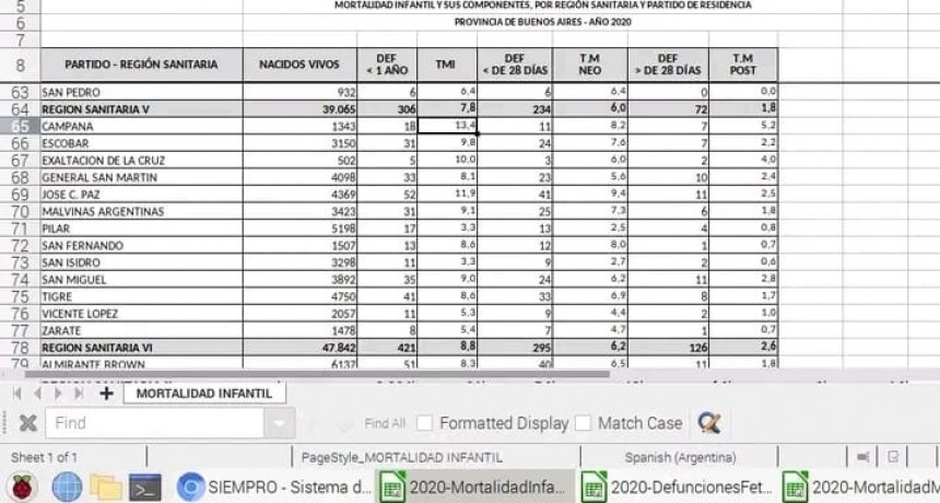 Datos sobre mortalidad infantil en Campana