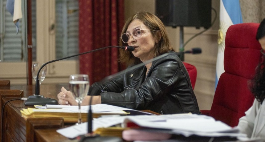 Sala : “El kirchnerismo está usando las bancas del HCD para hacer circo en vez de hacerlo para trabajar por los vecinos”