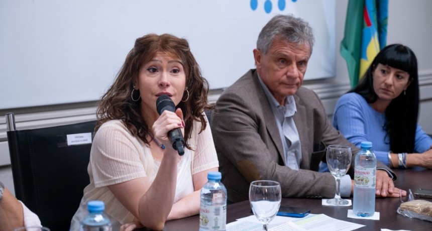 LEGISLADORES PROVINCIALES Y SERENOS DE BUQUES AVANZAN EN UN PROYECTO DE LEY PARA REGULAR SU CONTRATACIÓN
