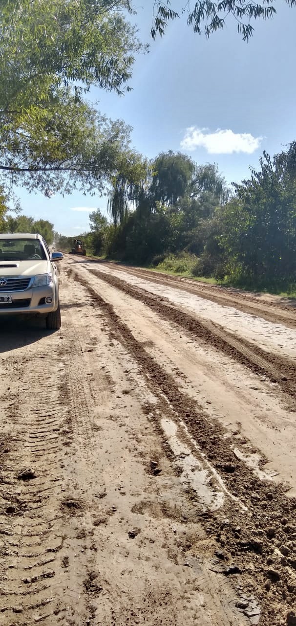  Reacondicionan distintos caminos de acceso al sector insular   
