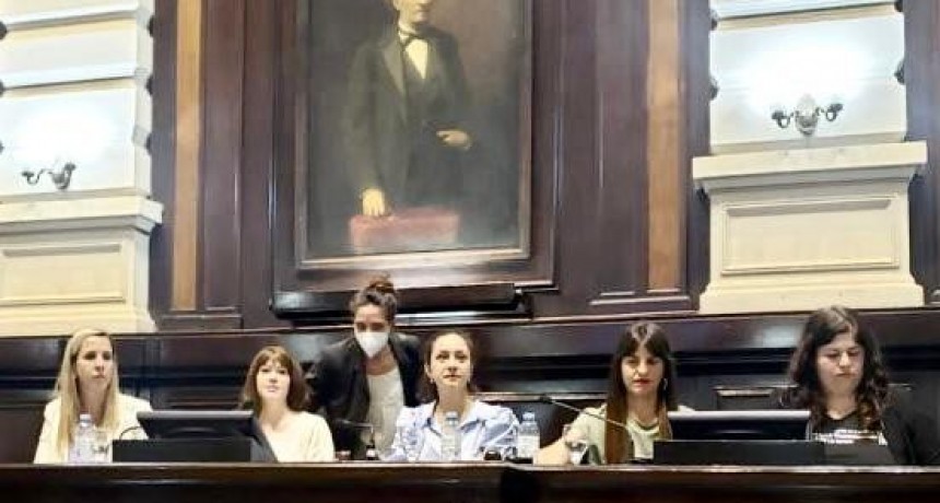 CAMPANA PARTICIPARON DEL PARLAMENTO DE MUJERES Y DIVERSIDADES EN LA LEGISLATURA PROVINCIA