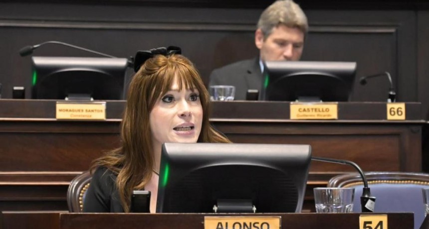 ENCENDIDO DISCURSO DE LA DIPUTADA ALONSO EN LA CÁMARA BAJA BONAERENSE
