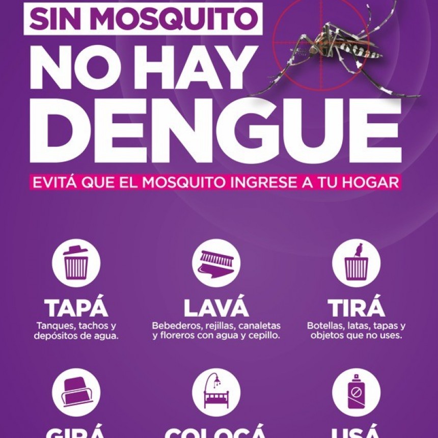 Dengue y Chikungunya: recuerdan la importancia de fortalecer las medidas de prevención y los cuidados desde casa