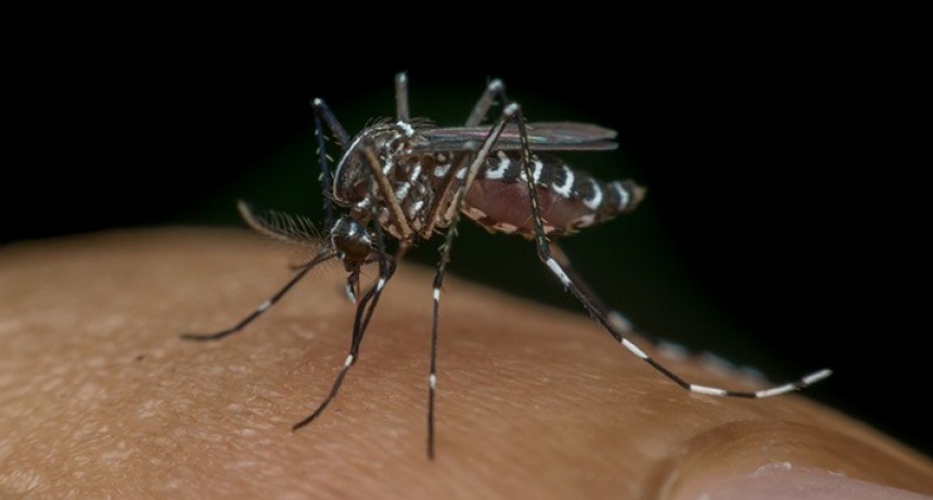 SALUD AVANZA CON LAS CAPACITACIONES SOBRE PREVENCIÓN Y CONTROL DE DENGUE Y CHIKUNGUNYA