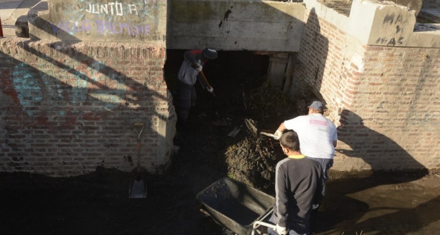 Se realiz&oacute; un importante operativo de limpieza en Berutti y Alem 