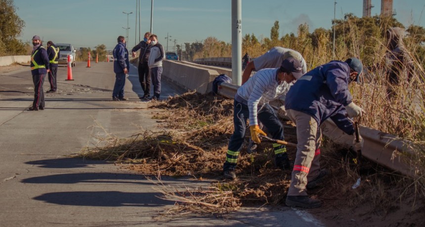  Cuadrillas municipales siguen realizando importantes tareas de mantenimiento sobre ruta 6