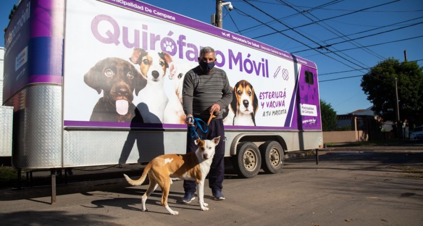 En dos meses se realizaron 1.100 castraciones gratuitas a mascotas