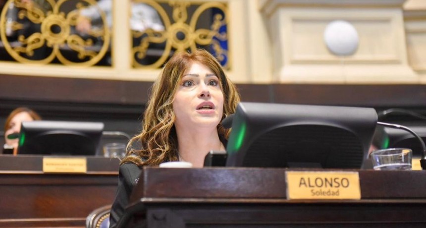 SOLEDAD ALONSO LAMENTÓ QUE UN PROYECTO SUYO SOBRE EL REPUDIO A LAS MANIFESTACIONES VIOLENTAS HAYA SIDO RECHAZADO