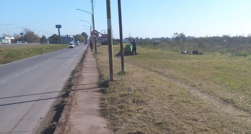 Las cooperativas siguen realizando tareas de mantenimiento 