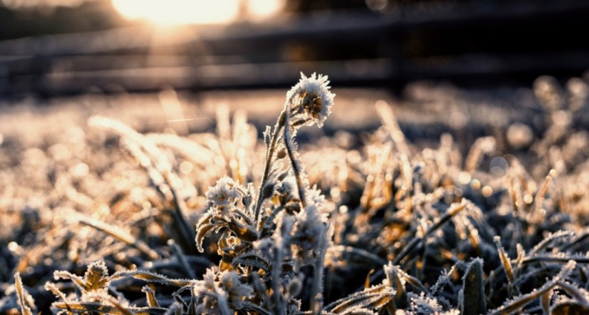 Semana con marcado descenso de temperaturas y nevadas persistentes