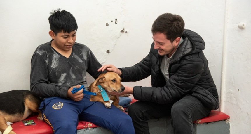 Campana Castra: una organización ciudadana  en pos de la salud animal