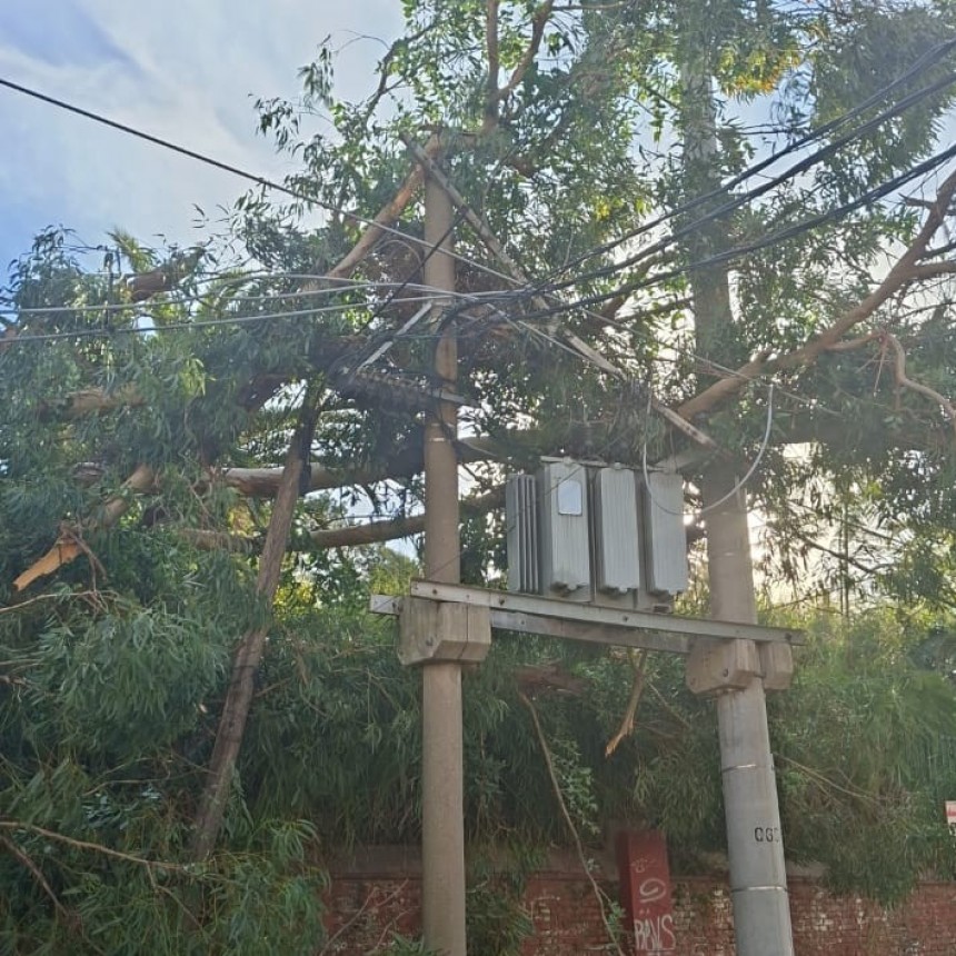 CAYÓ UN ÁRBOL SOBRE UN TRANSFORMADOR DE EDEN Y DEJÓ UN SECTOR DEL CENTRO DE CAMPANA SIN ELECTRICIDAD