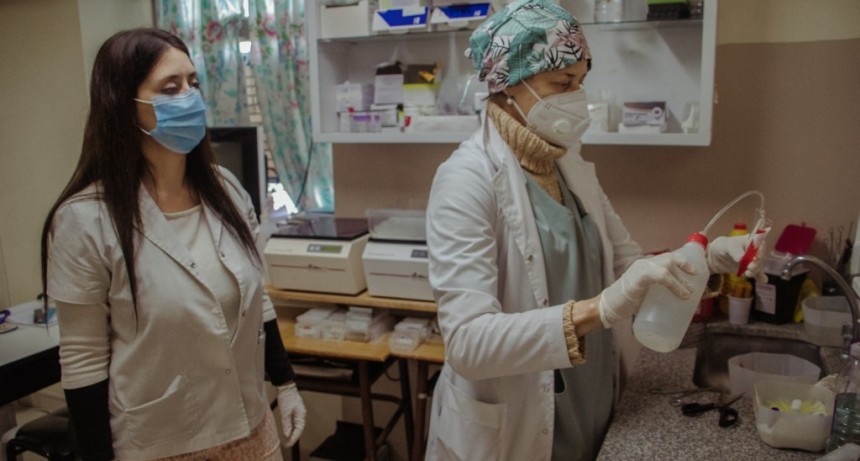 Contin&uacute;a la campa&ntilde;a de donaci&oacute;n de plasma para el tratamiento de Covid-19   