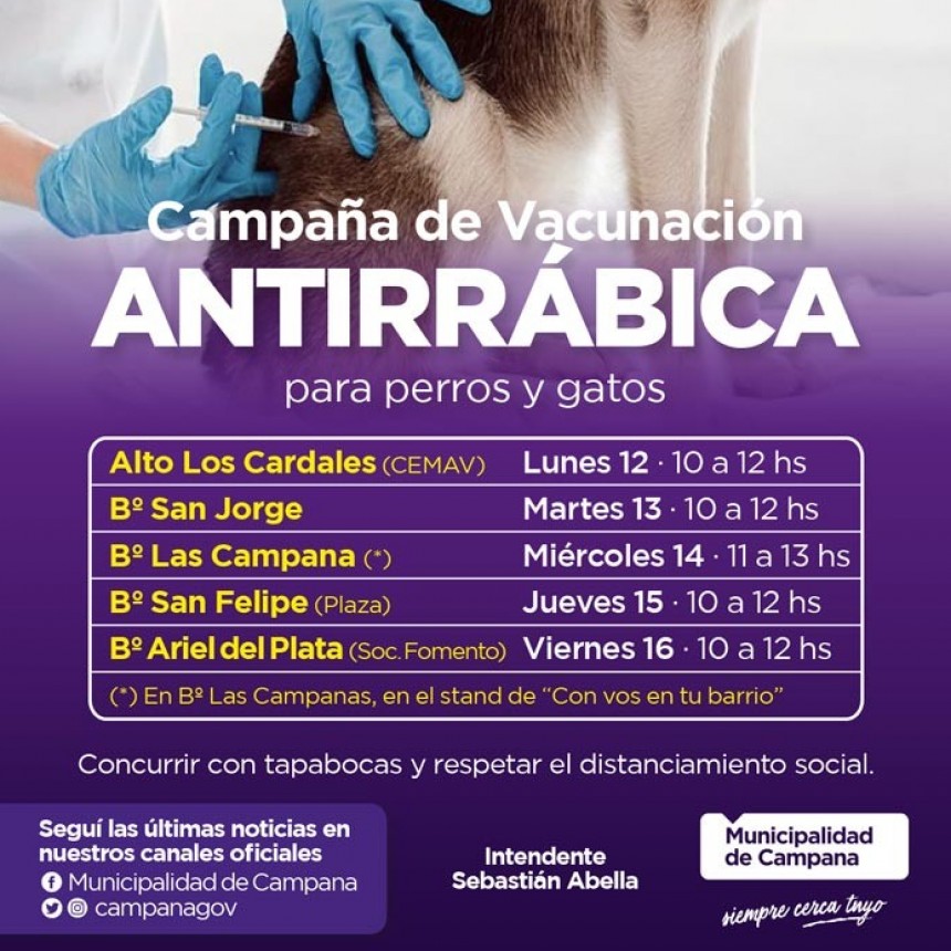 Vacunaci&oacute;n antirr&aacute;bica: informan el cronograma de la semana pr&oacute;xima 