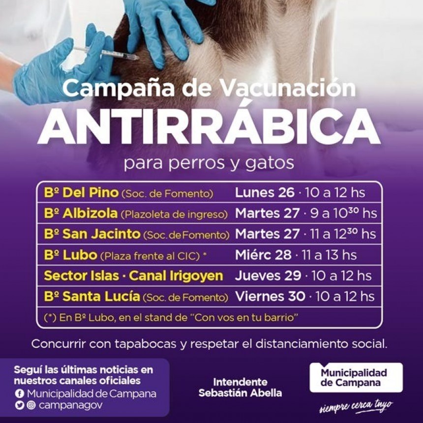 Ya se aplicaron 4.100 vacunas antirr&aacute;bicas gratuitas a perros y gatos 