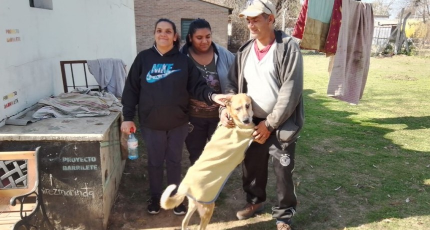 En el Día Mundial del Perro, el Municipio fomenta la adopción y la tenencia responsable