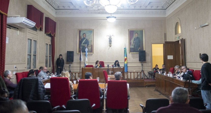 El H.C.D aprobó un proyecto que apoya la regularización de los acompañantes terapeúticos