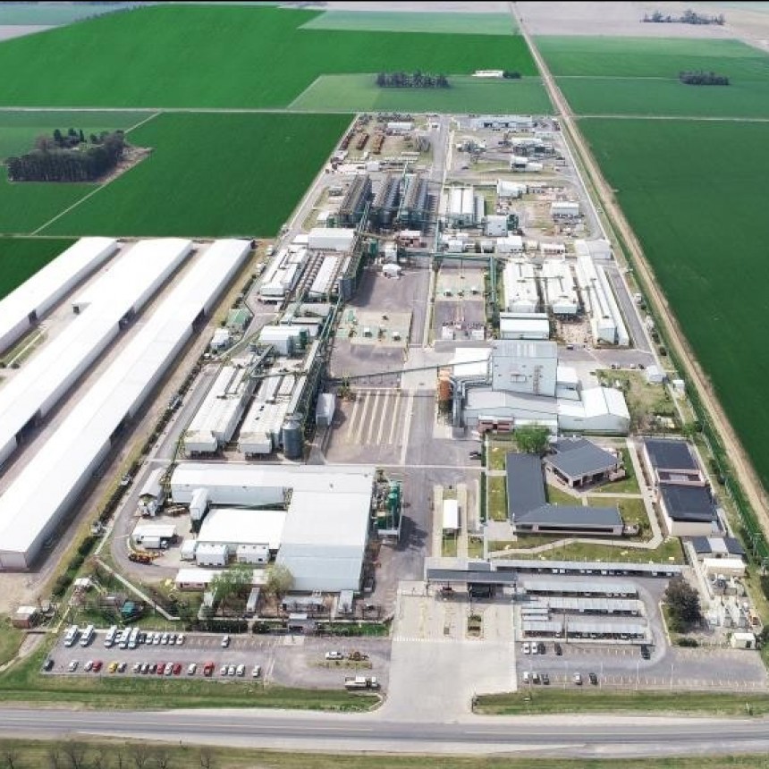 Bayer y MSU Green Energy cierran un acuerdo estratégico para abastecer con energía solar la planta procesadora de semillas maíz más grande del mundo