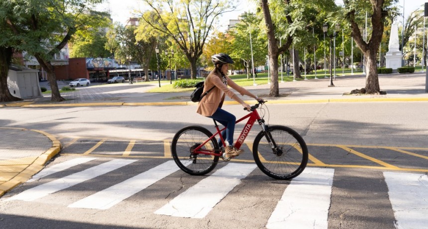 Toyota presentó sus bicicletas eléctricas: el primer paso de la marca en la micromovilidad
