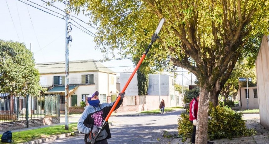 Barrio Siderca Verde: se realizó un operativo de poda correctiva para despejar luminarias