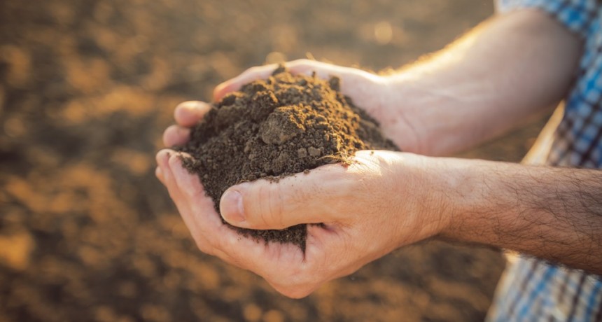 Bayer presenta su enfoque en Sustentabilidad y Huella de Carbono en el Congreso de Aapresid  2023