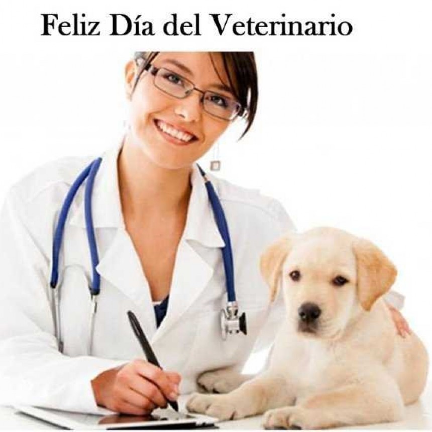 6 de agosto Día del Veterinario : Radiografía de una profesión en crecimiento