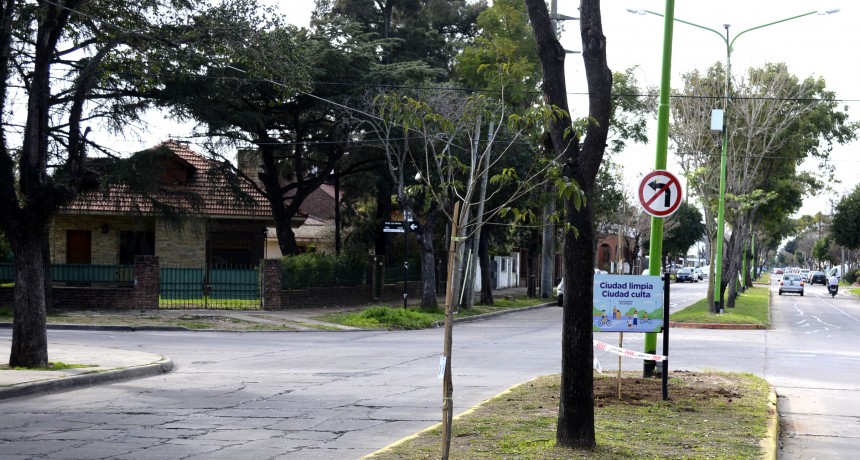 El Plan de Forestación del Municipio avanza por distintas zonas de la ciudad
