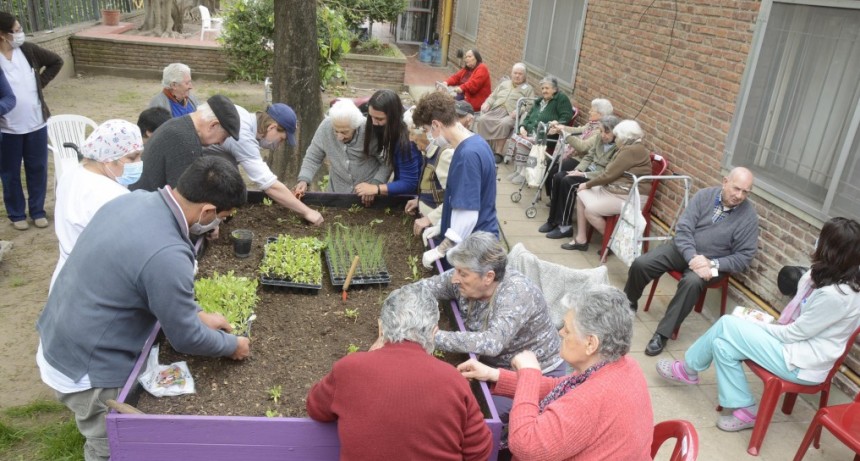 Se instaló la primera Huerta Orgánica en el Hogar Municipal de Ancianos 