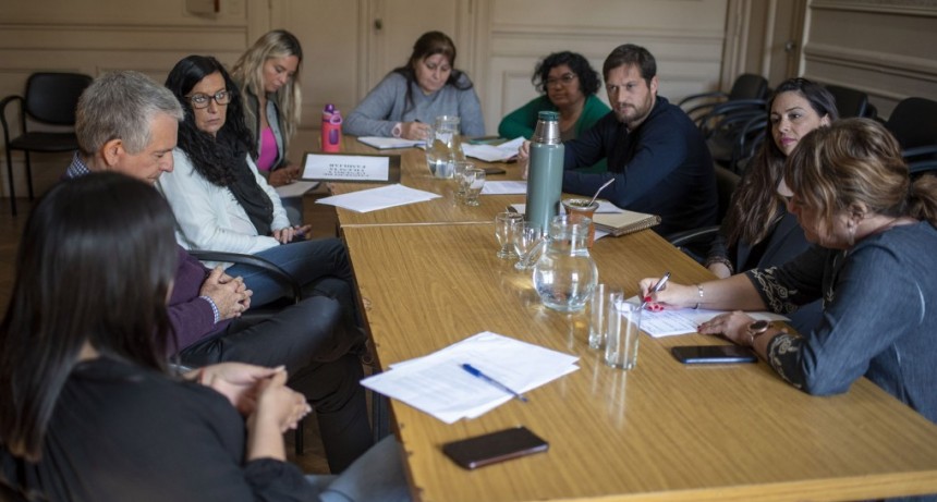 Consejo de Género y Violencia Familiar: se analizaron nuevos proyectos de abordaje integral