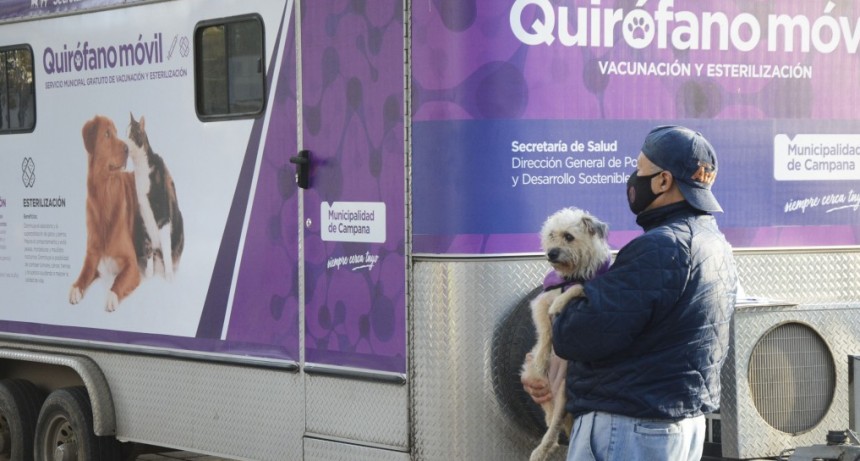 El quirófano móvil continuará con su cronograma de castraciones gratuitas en San Felipe