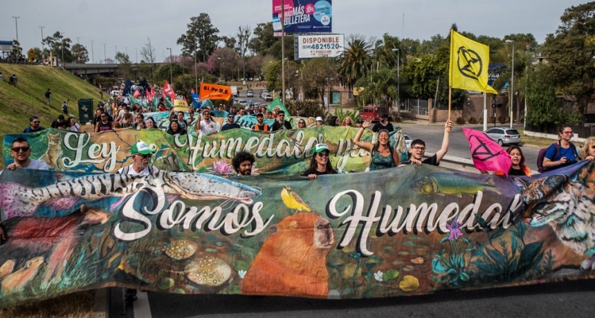 Greenpeace: Los humedales tienen la mejor oportunidad en años de ser protegidos 