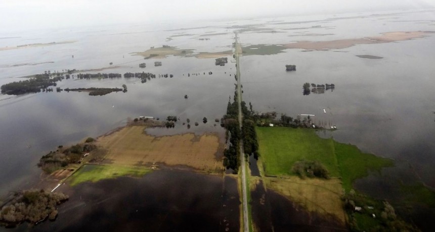 “El Niño” acecha al campo: ¿Qué se puede hacer? 