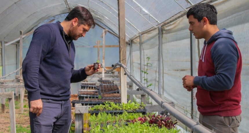 Gonzalo Brutti :  Con el vivero municipal, buscamos promover el desarrollo de huertas sociales