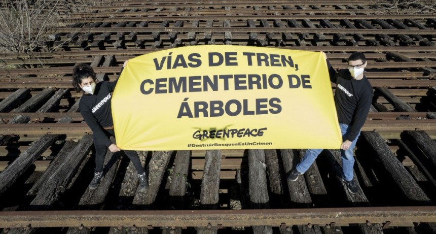 Denuncian nuevas licitaciones de durmientes de quebracho