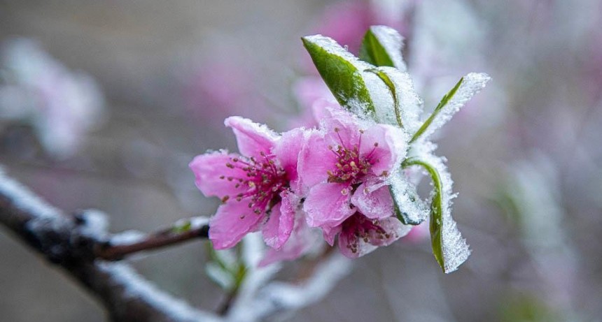 Vuelve el frío en plena primavera
