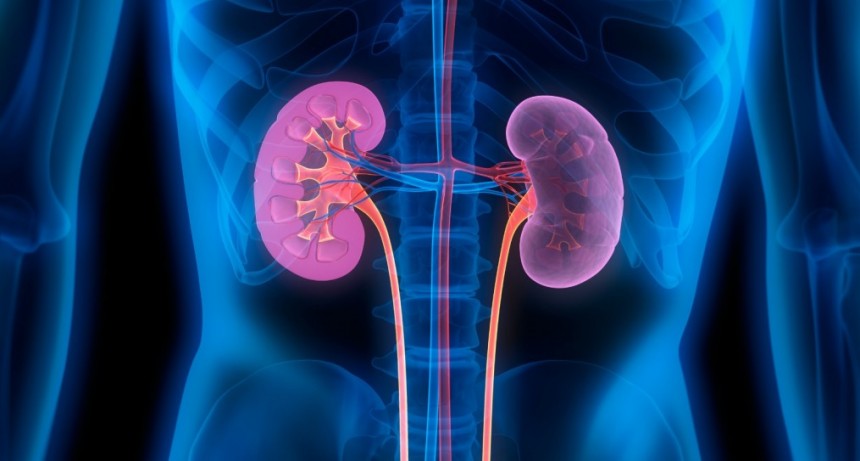 Finerenona: Innovación en Diabetes Tipo 2 para Enfermedad Renal Crónica y Riesgos Cardiovasculares